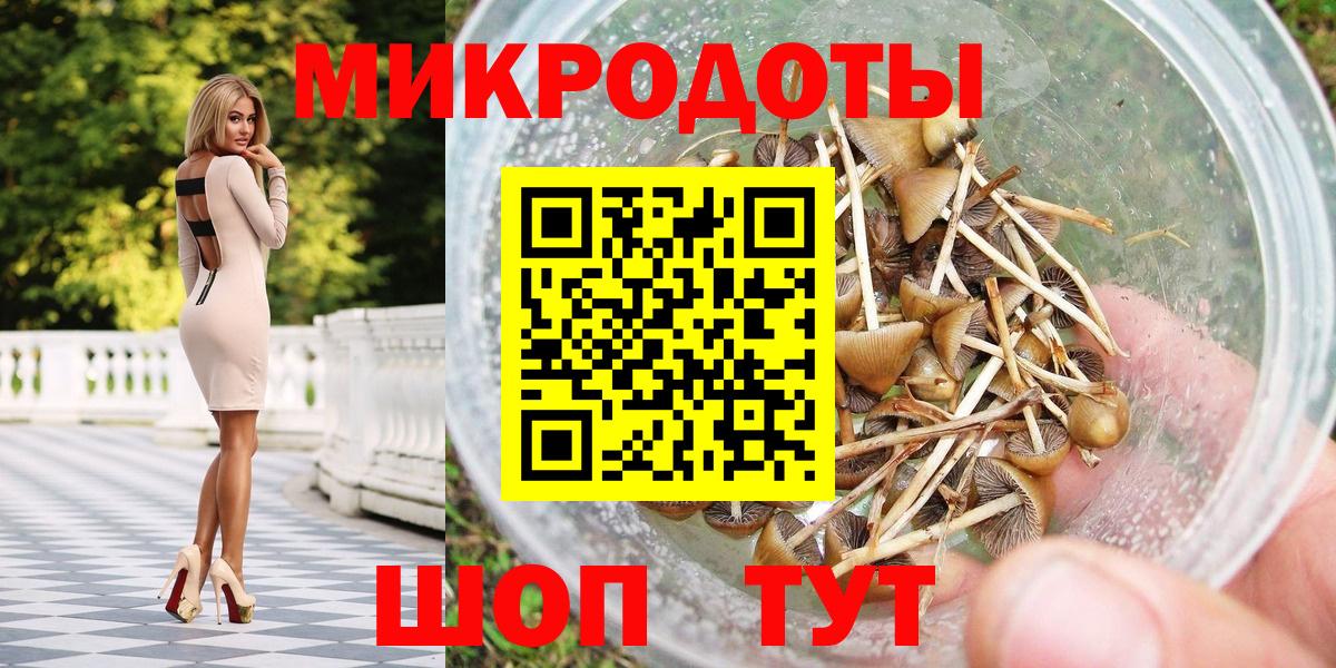 Псилоцибиновые грибы мицелий Пятигорск