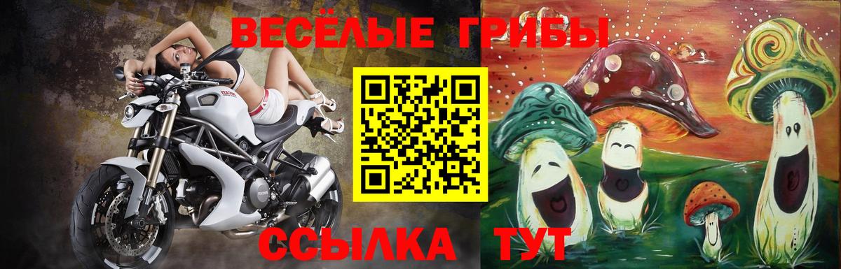 Пятигорск  Псилоцибиновые грибы GOLDEN TEACHER  наркотики  Вход с VPN 