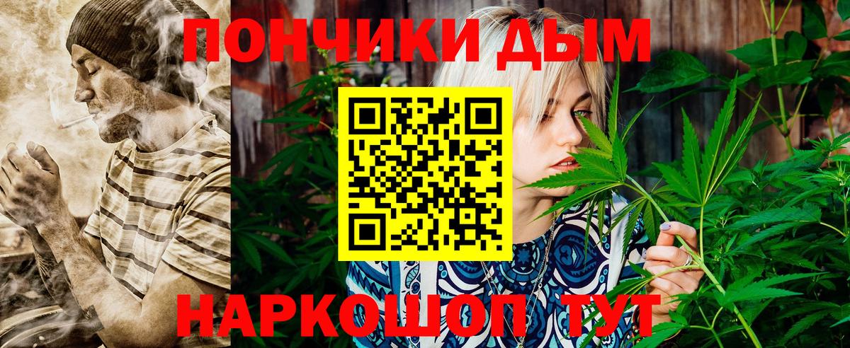 Бошки Шишки сатива Пятигорск